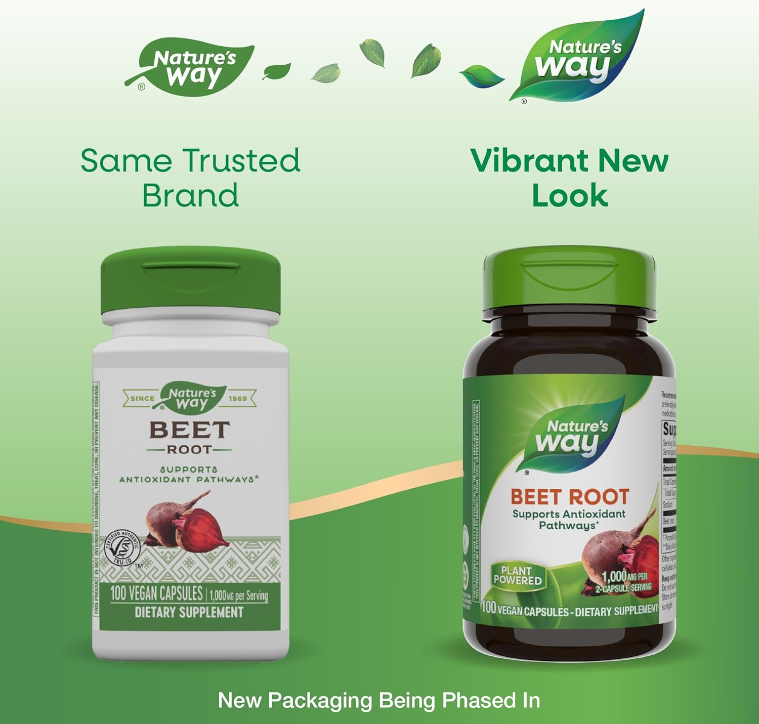 Beet Root Supplement - 1,000mg per Serving, Antioxidant Support, Vegan - 100 Capsules