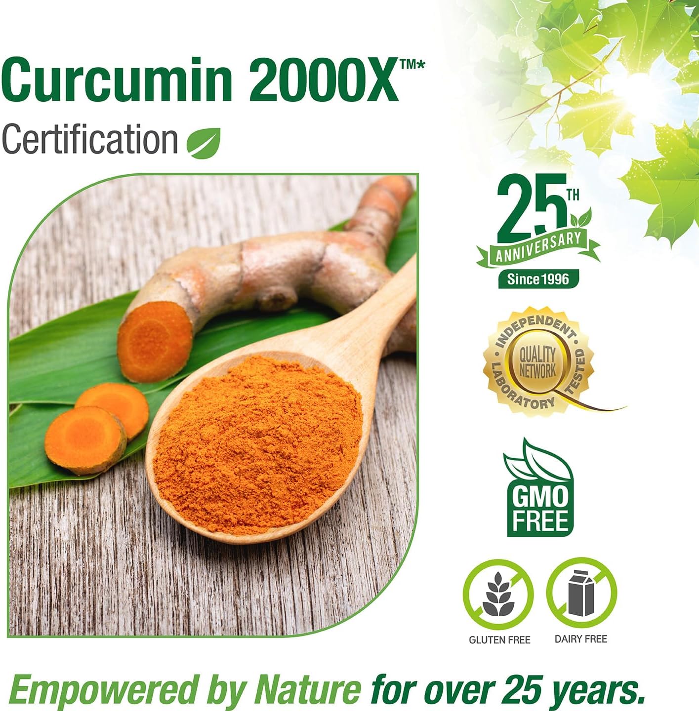 Bell Curcumin 2000X® Supplements - Proprietary Blend for Digestion, Inflammation, Cardiovascular Health - 90 Units