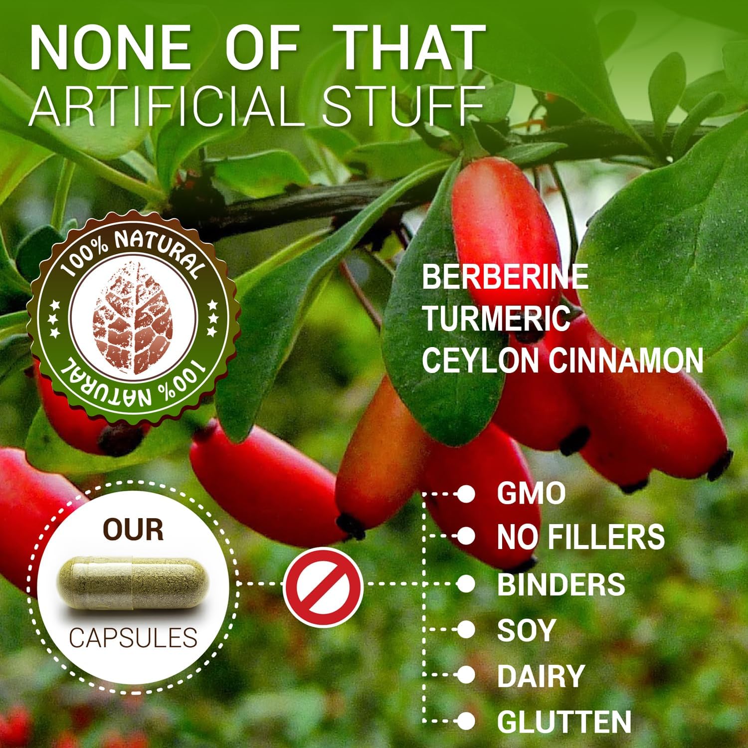 Berberine Capsules with Ceylon Cinnamon & Turmeric - 500mg Berberine HCL Dietary Supplement for Immune Support - Non GMO Formula for Men and Women