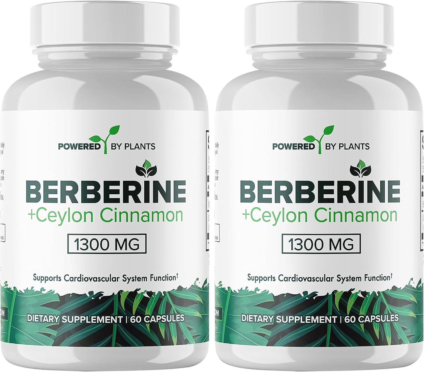 Berberine & Ceylon Cinnamon Supplement for Metabolism & Immune Support - 1300mg, 2 Pack, 120 Servings