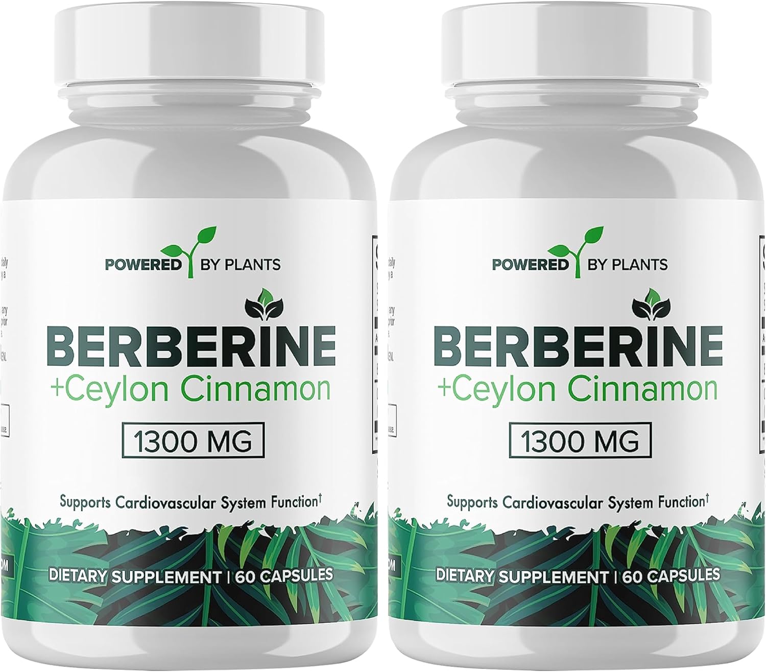 Berberine & Ceylon Cinnamon Supplement for Metabolism & Immune Support - 1300mg, 2 Pack, 120 Servings
