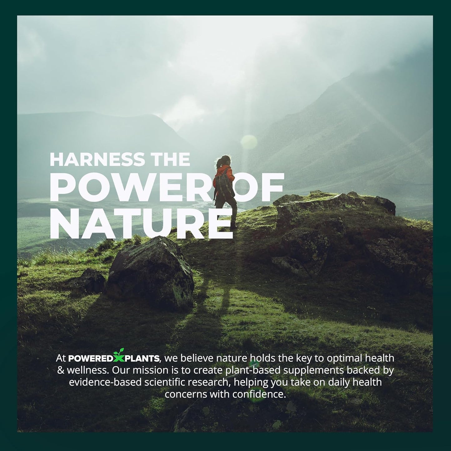 Berberine & Ceylon Cinnamon Supplement for Metabolism & Immune Support - 1300mg, 2 Pack, 120 Servings