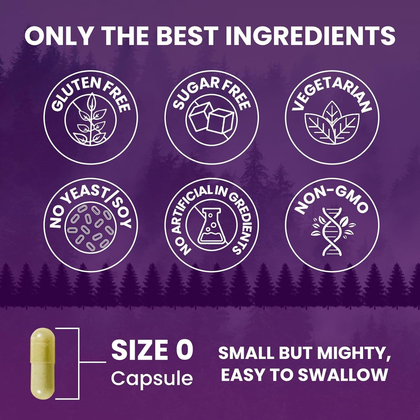 Berberine HCL Capsules 1200mg with Ceylon Cinnamon and Chromium - Metabolism and Immune System Support - 120 Vegan Pills