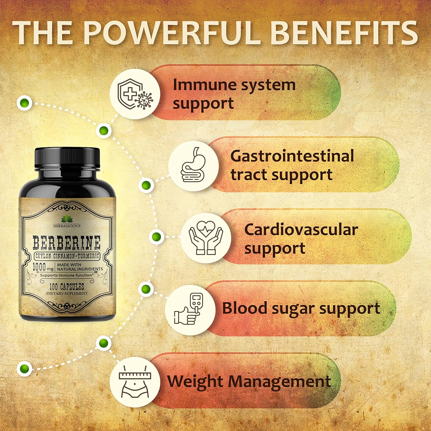 Berberine HCL Capsules with Ceylon Cinnamon & Turmeric - 1000mg Non GMO Supplement for Immune Support, Heart Health, Cholesterol - Men & Women Friendly