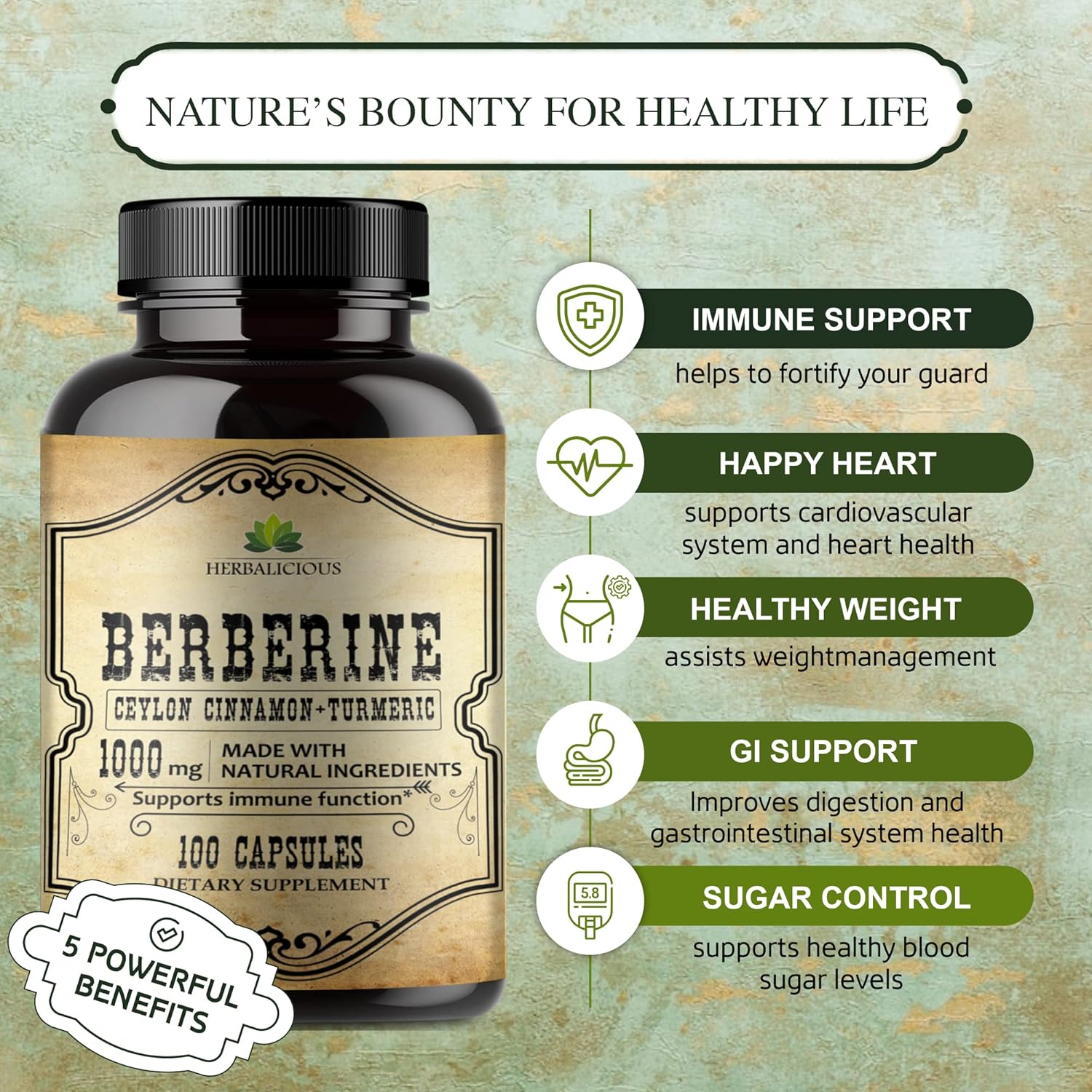 Berberine HCL Capsules with Ceylon Cinnamon & Turmeric - 1000mg Non GMO Supplement for Immune Support, Heart Health, Cholesterol - Men & Women Friendly