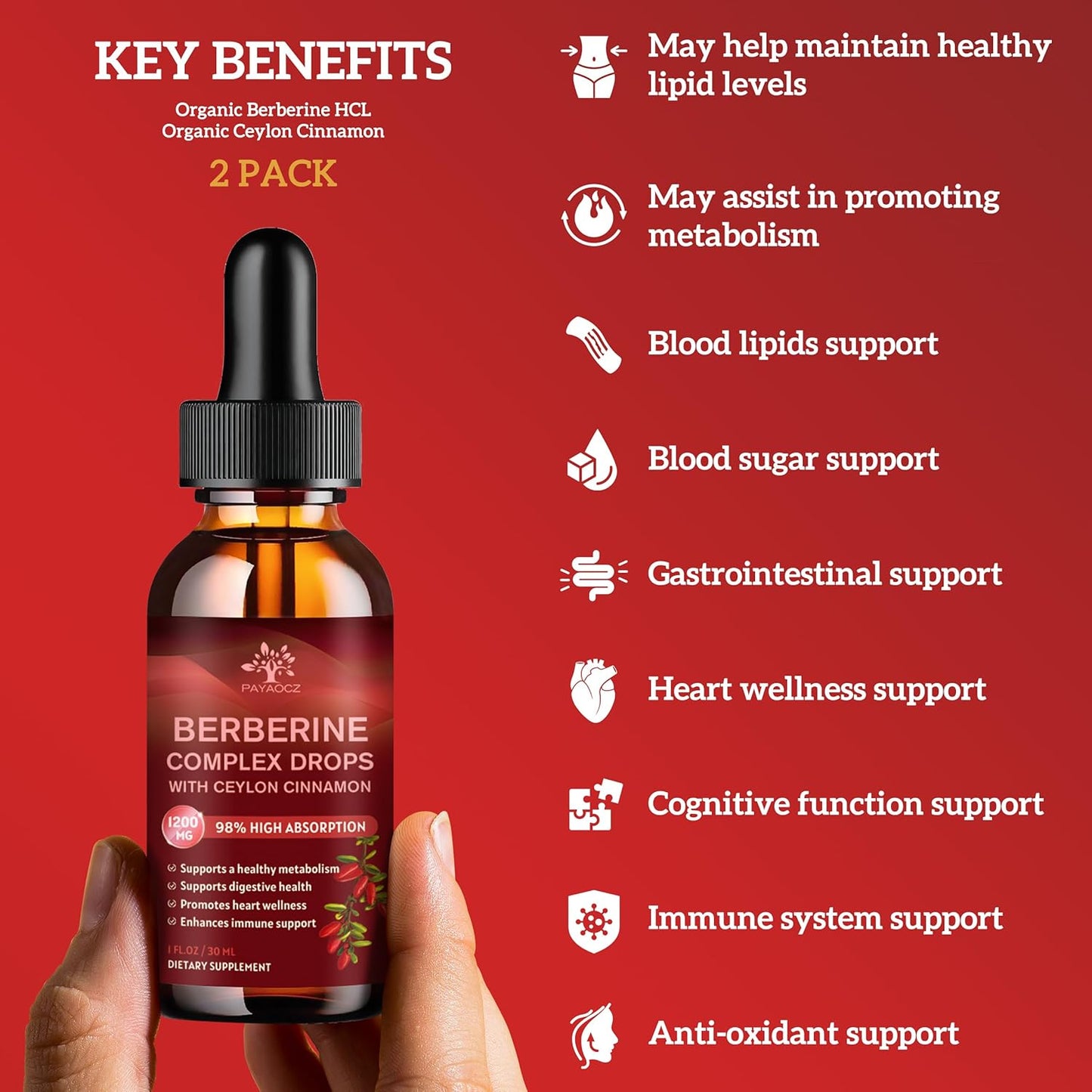 Berberine HCL Liquid Drops Supplement with Ceylon Cinnamon - 2 Pack, 1200mg - Immune & Heart Support - 1 Fl Oz