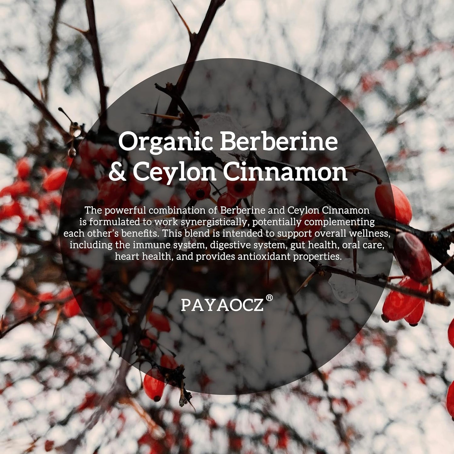 Berberine HCL Liquid Drops Supplement with Ceylon Cinnamon - 2 Pack, 1200mg - Immune & Heart Support - 1 Fl Oz