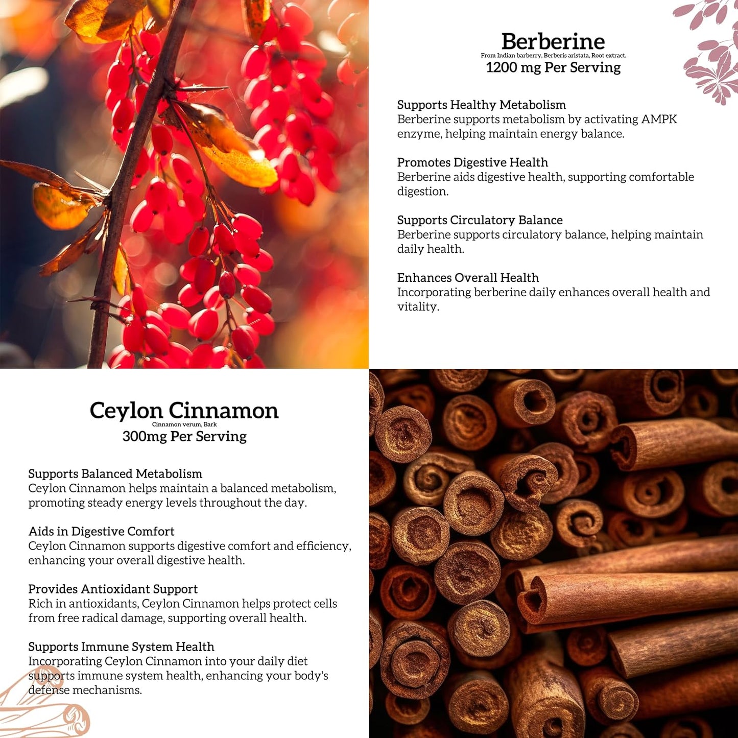 Berberine HCL Liquid Drops Supplement with Ceylon Cinnamon - 2 Pack, 1200mg - Immune & Heart Support - 1 Fl Oz