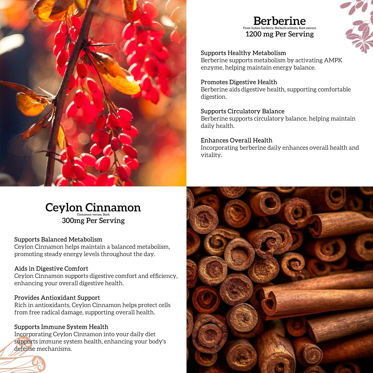 Berberine HCL Liquid Drops Supplement with Ceylon Cinnamon - 2 Pack, 1200mg - Immune & Heart Support - 1 Fl Oz