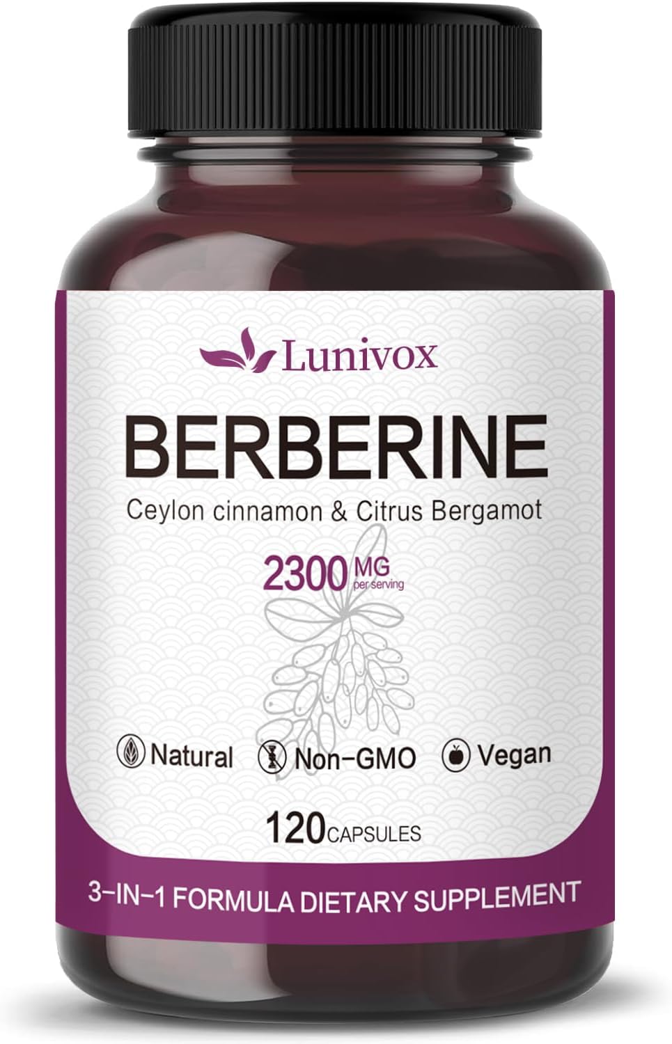 Berberine Supplement with Ceylon Cinnamon for Circulation, Heart Health, Immune Support - 1600mg - 120 Capsules