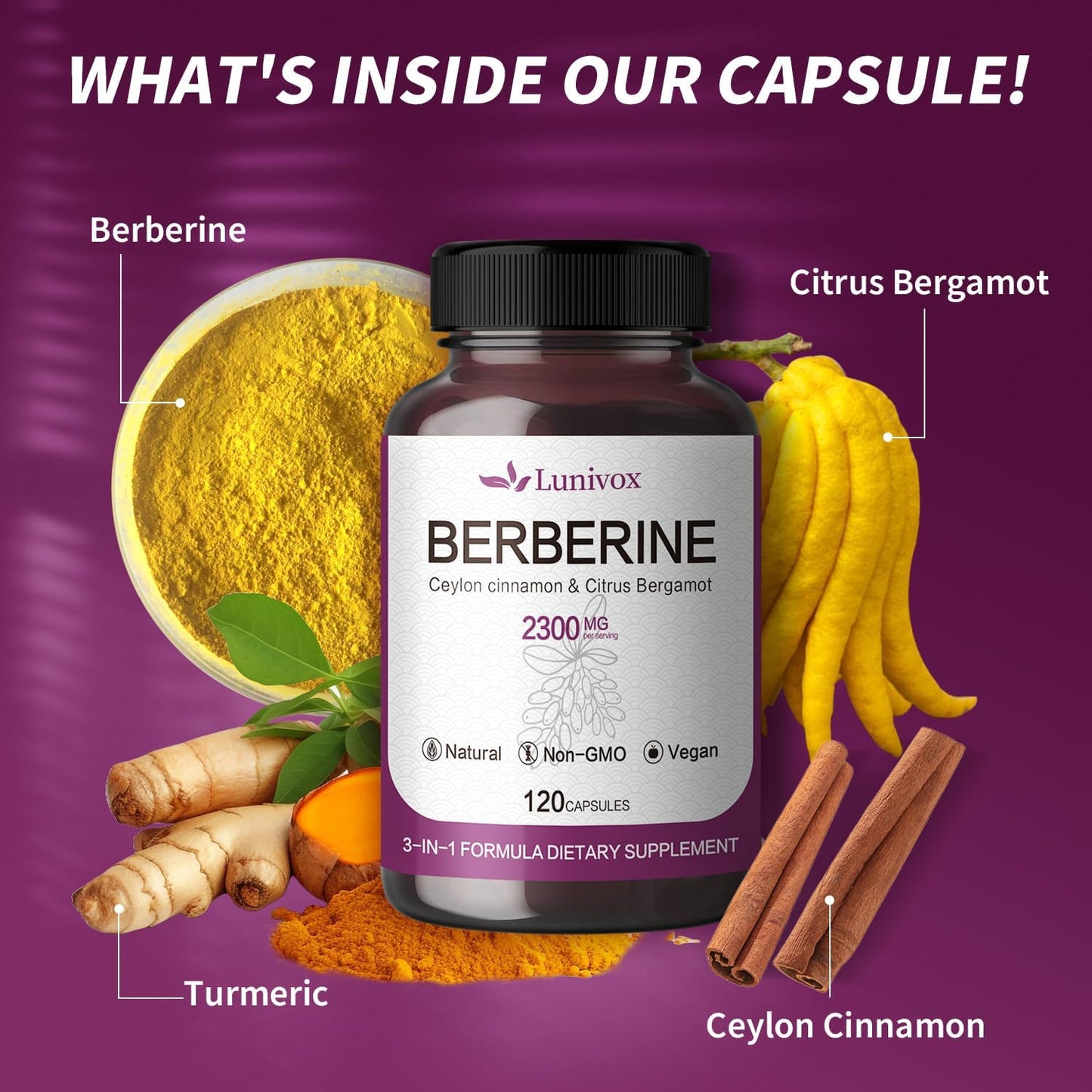 Berberine Supplement with Ceylon Cinnamon for Circulation, Heart Health, Immune Support - 1600mg - 120 Capsules