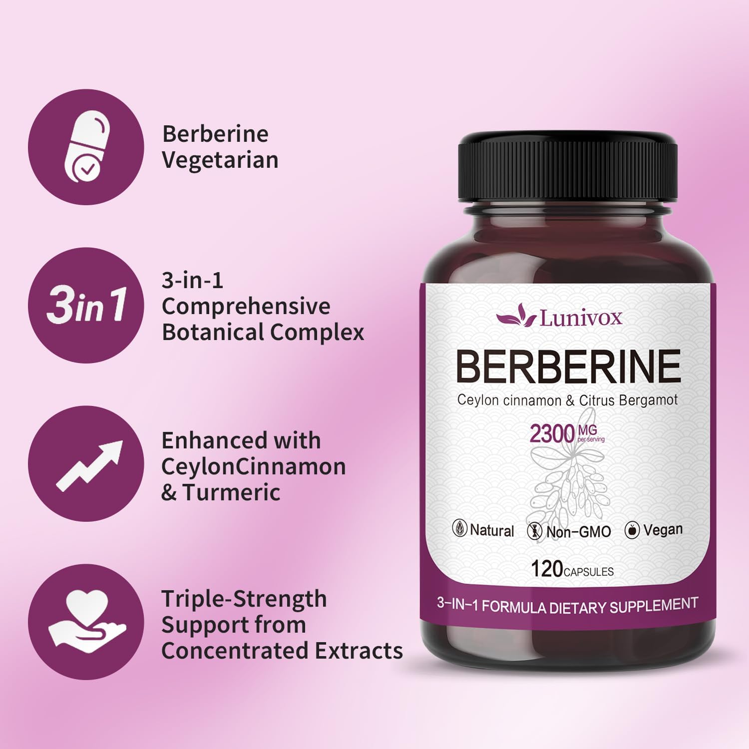 Berberine Supplement with Ceylon Cinnamon for Circulation, Heart Health, Immune Support - 1600mg - 120 Capsules