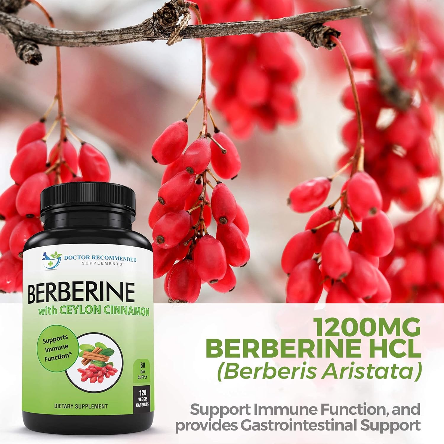 Berberine with Ceylon Cinnamon Supplements - 1200mg Berberine & 100mg Ceylon Cinnamon - 120 Capsules for Immune & Gut Health