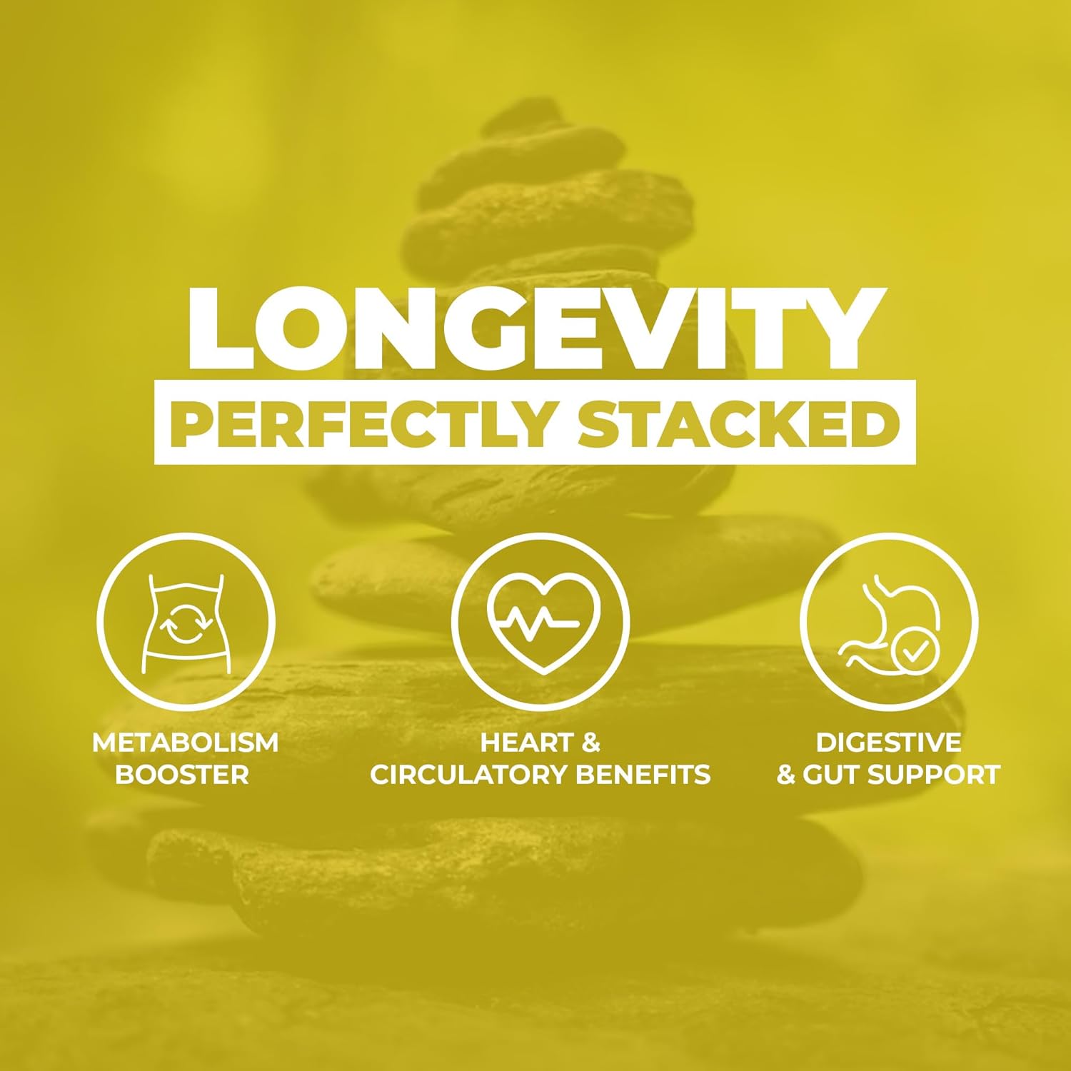 Berberine with Cinnamon Capsules for Healthy Metabolism | Non-GMO, Gluten-Free Supplement | 25 Capsules in Glass Bottle