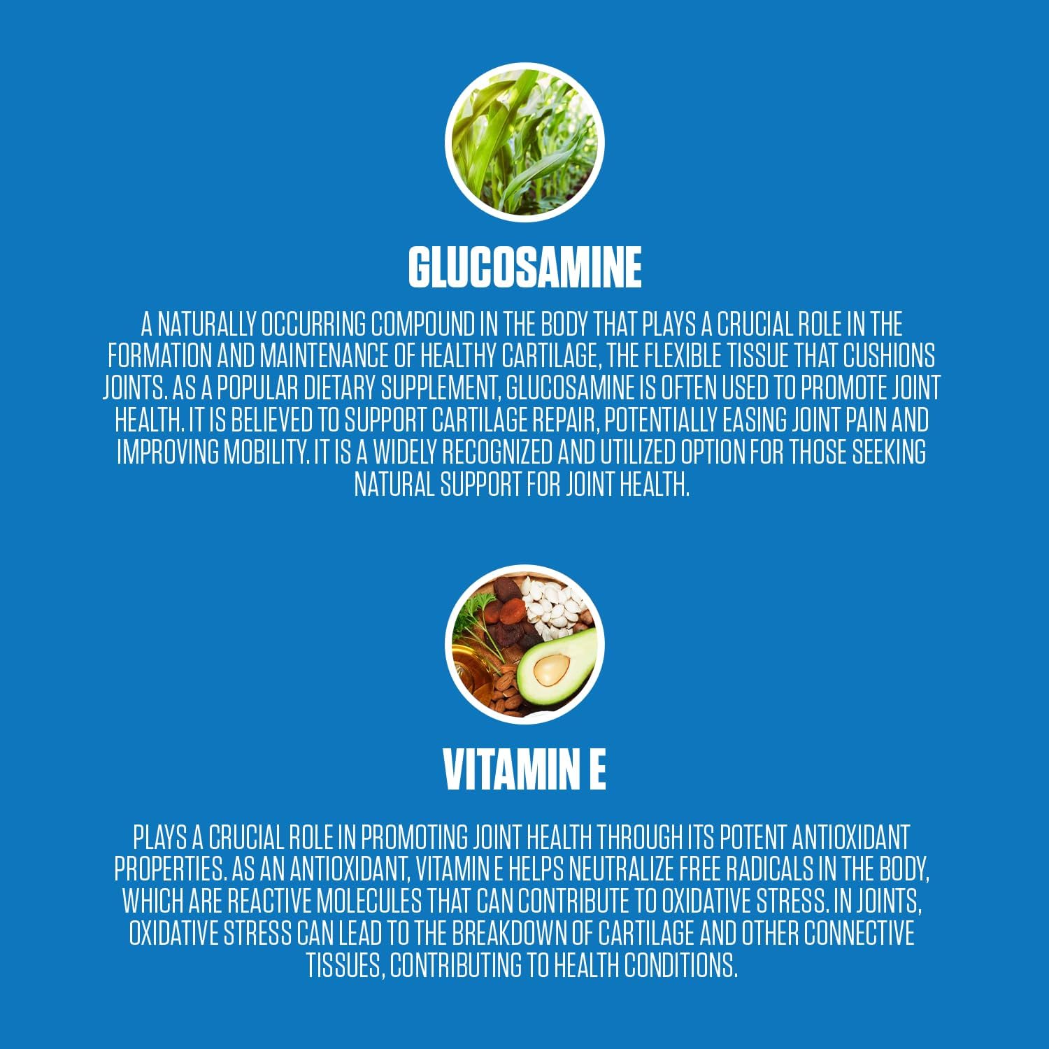 Best Joint Support Gummies with Glucosamine Sulfate & Vitamin E for Joint Health, Mobility, and Cartilage Support - EPN Supplements Joint Revive Gummies for Men & Women