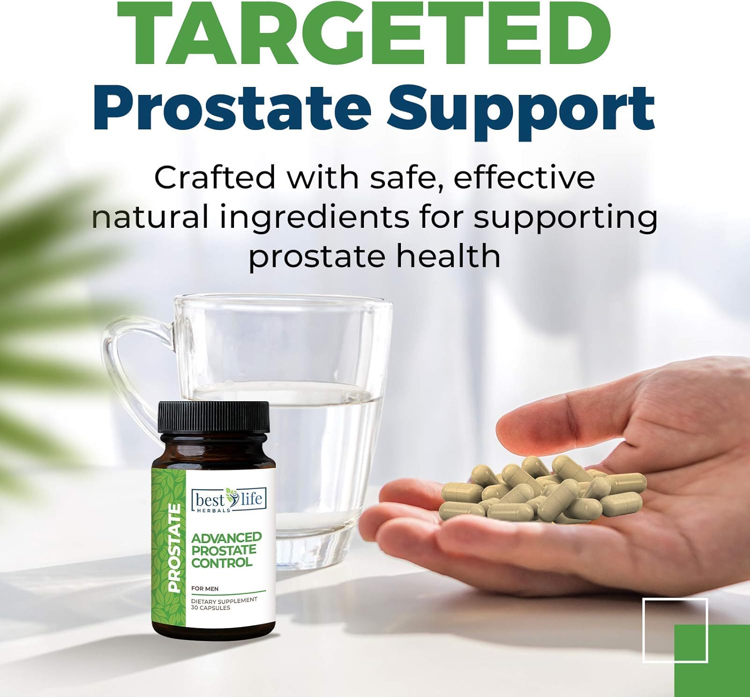 Best Life Herbals Prostate Control Supplement with Saw Palmetto - 1 Bottle for Enlarged Prostate & Overactive Bladder in Men