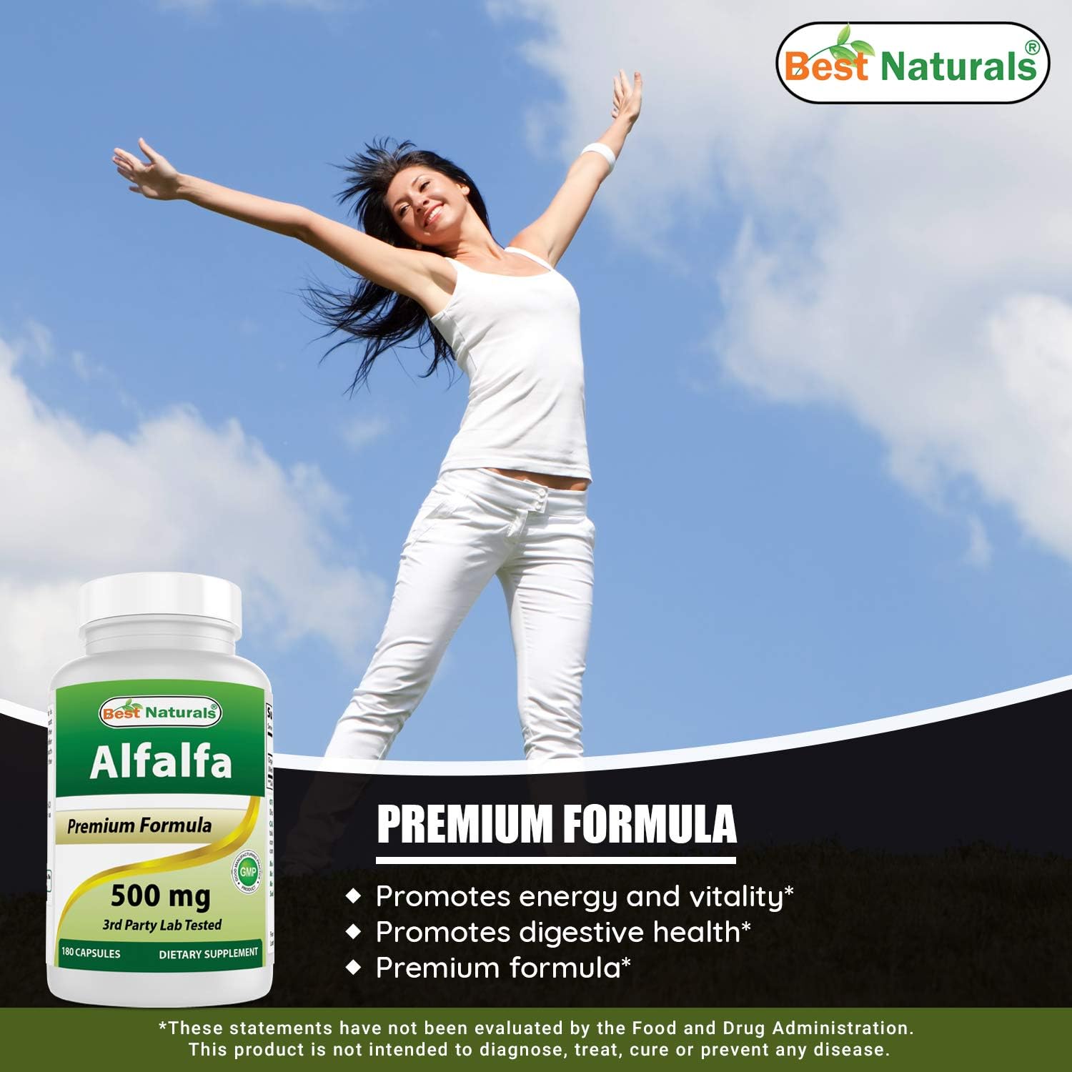 Best Naturals Alfalfa Green Super Food 500 mg - 540 Capsules in Total