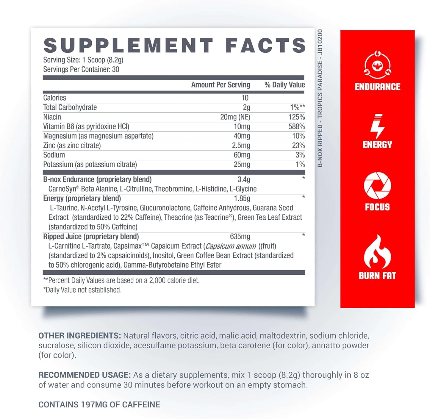 Betancourt Nutrition B-Nox Pre Workout Thermogenic Activator with L-Carnitine and Beta Alanine for Endurance and Lean Muscle Gains - Tropical Paradise Flavor - 30 Servings