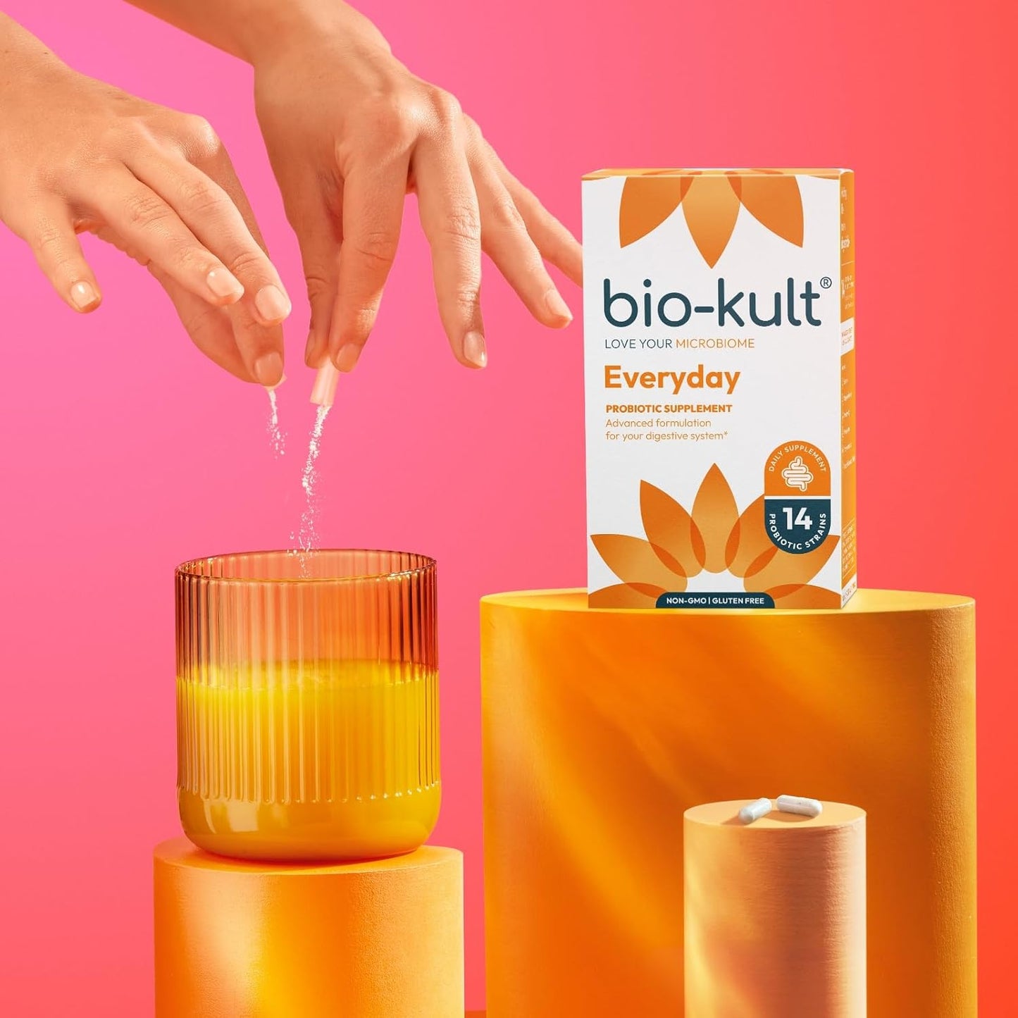 Bio-Kult Gut Health Probiotic Supplement with 14 Strains - Immune & Digestive Support for Men & Women - Non-GMO, Gluten-Free Capsules - 60 Count