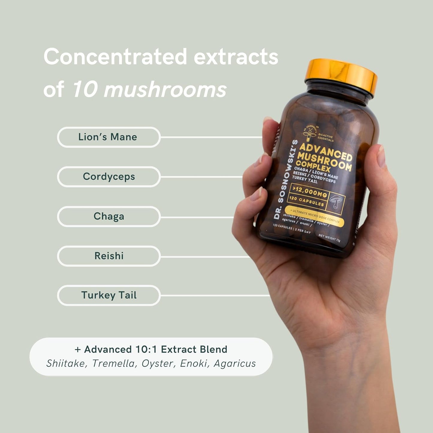 BioActive Mushroom Complex with Lion's Mane, Cordyceps, Chaga, Turkey Tail, Reishi, Shiitake, Tremelia, Oyster, Agaricus & Enoki Extracts | 120 Capsules