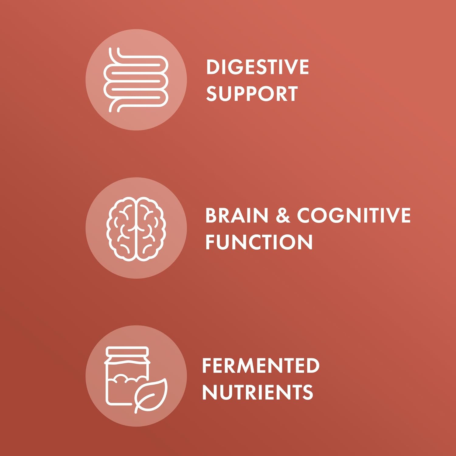 Biodynamic Organic Fermented Cinnamon 1000mg, 90 Servings (180 Tablets) - USDA Organic, Non-GMO Dietary Supplement