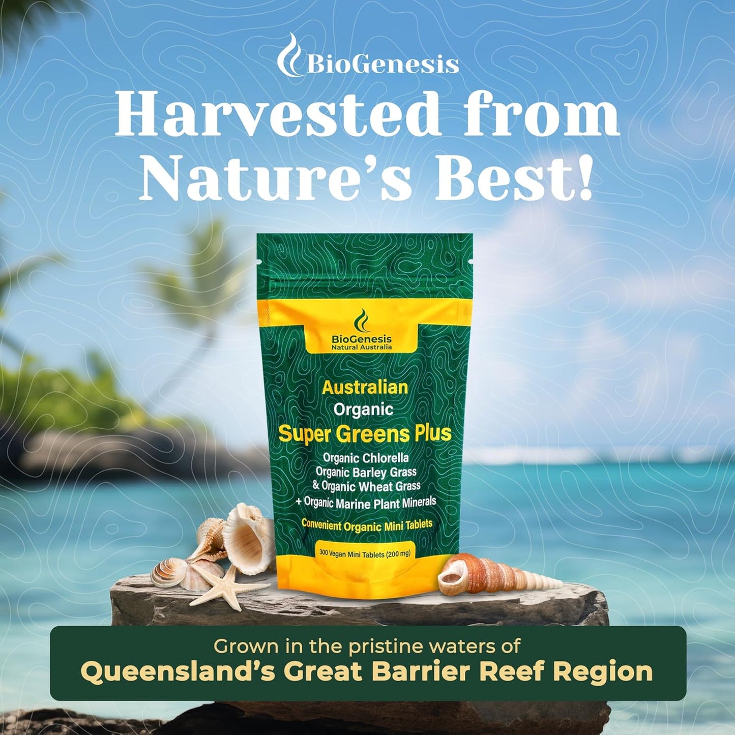 Biogenesis Australian Organic SuperGreens Tablets with Chlorella, Barley Grass & Wheat Grass (300 Count)