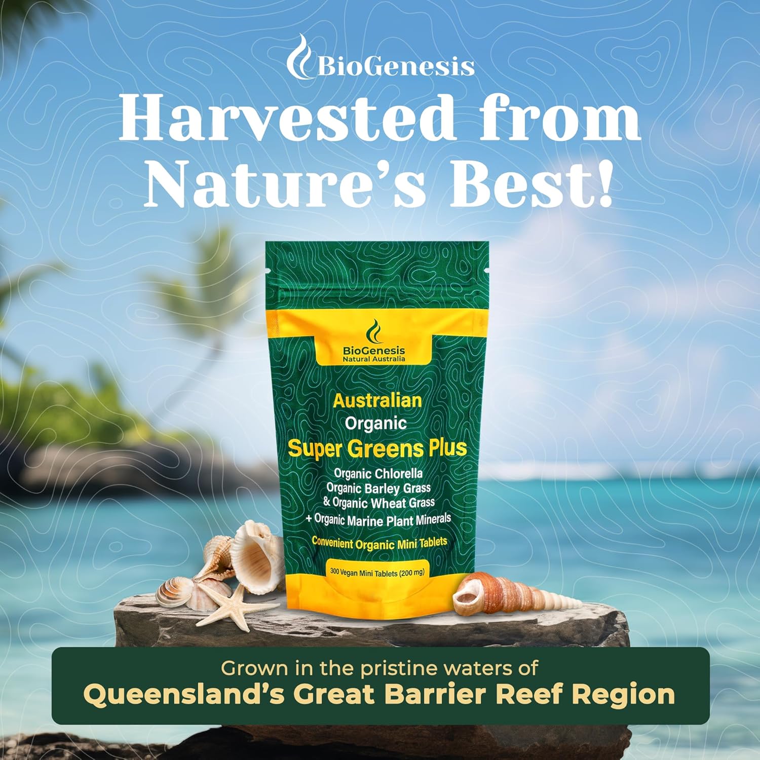 Biogenesis Australian Organic SuperGreens Tablets with Chlorella, Barley Grass & Wheat Grass (300 Count)