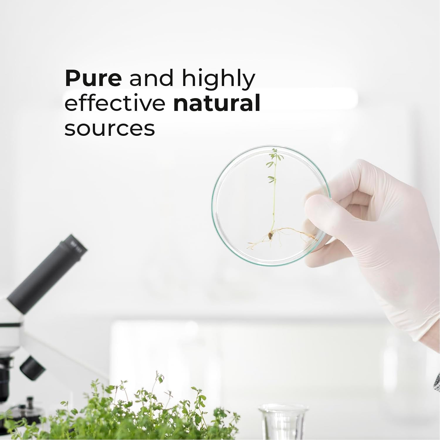 Biogenique Nitric Oxide Pre Workout Powder - Honeydew Watermelon Flavor - Energy Boost & Muscle Support - Vegan & Gluten Free - Made in USA