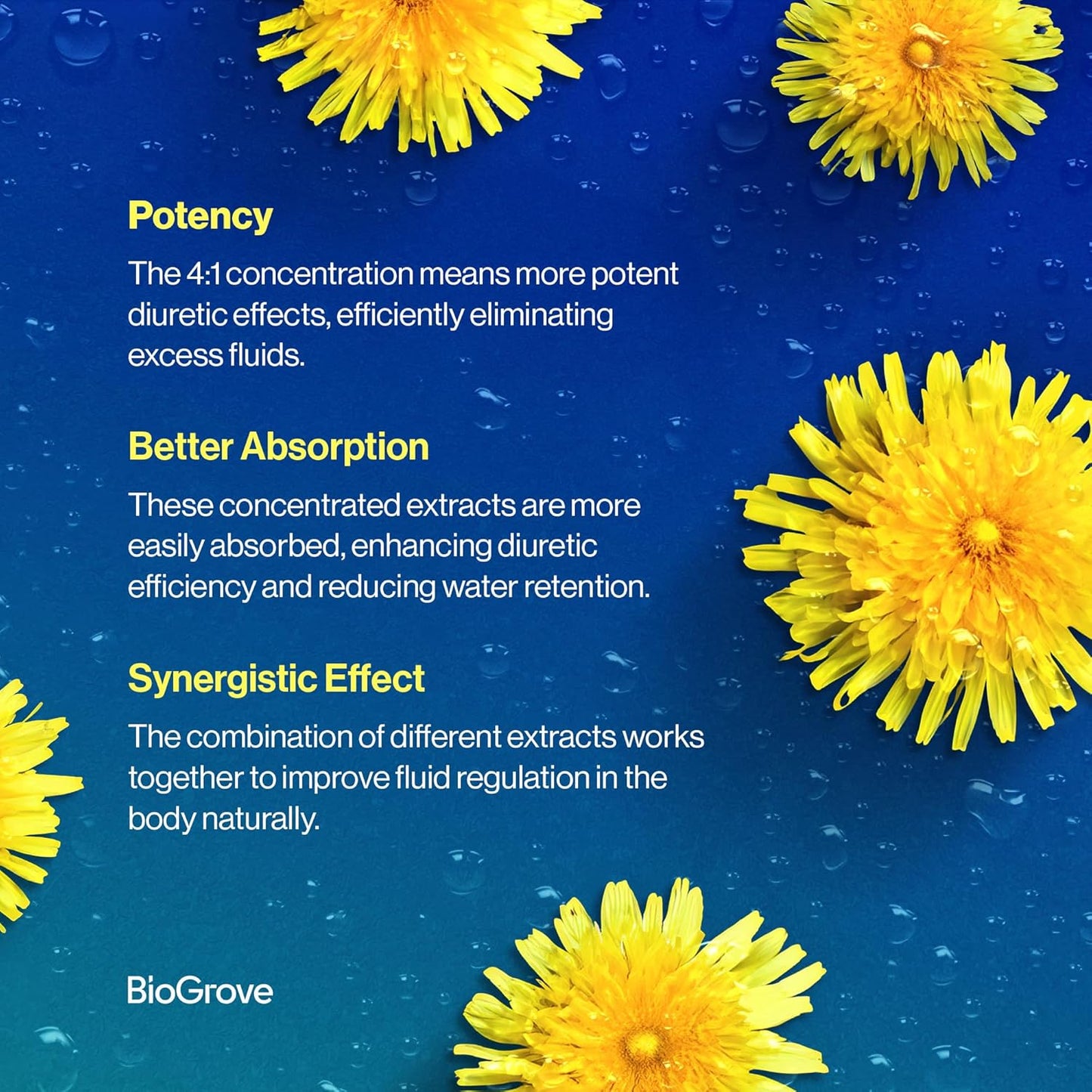 BioGrove Diulite Water Pills - Reduce Swollen Feet & Legs, Water Retention & Puffiness - Easy-to-Swallow Pills for Fast Water Weight Loss - Top Quality & Value Without Side Effects