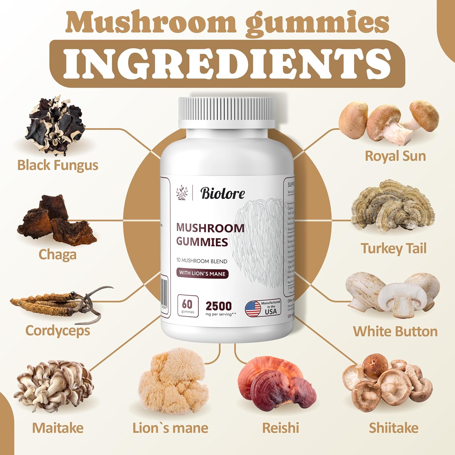 Biolore Mushroom Complex Gummies: Brain and Immune Support with 10 Powerful Mushrooms - Chaga, Lions Mane, Reishi, Cordyceps - Mushroom Superfood Pack