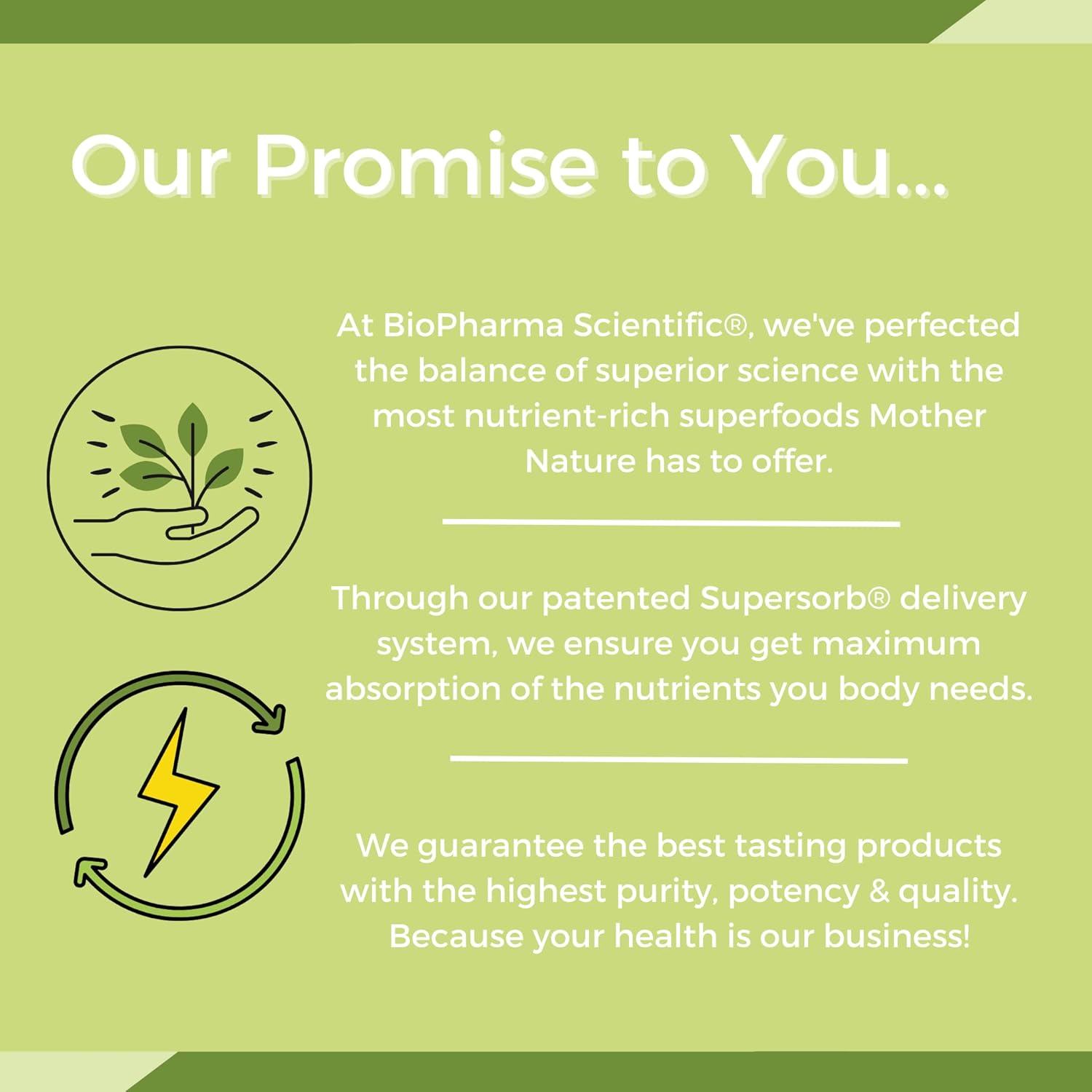 Biopharma Scientific Nanogreens+Probiotic: Greens Superfood Smoothie Mix with Probiotics, Spirulina, Chlorella, Strawberry Flavor - 30 Servings