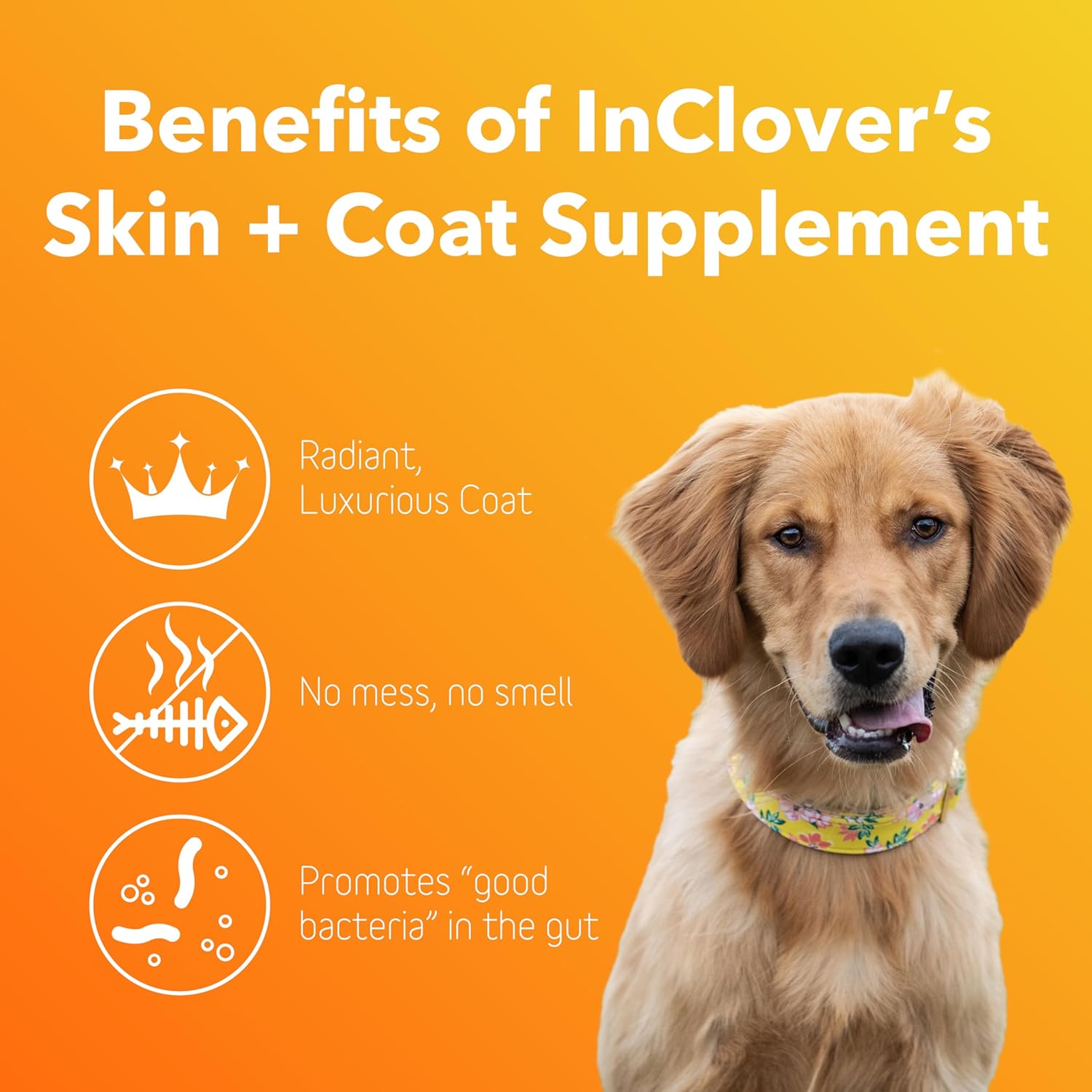 BioRadiant Skin and Coat Supplement for Dogs - Natural Alternative with Carrots, Coconut, Omega 3's, Biotin, and Zinc