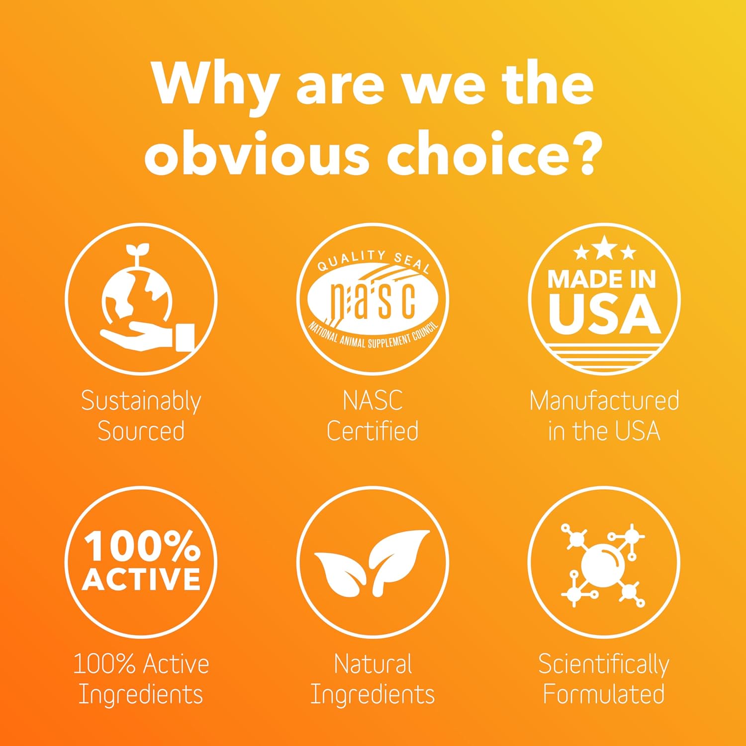 BioRadiant Skin and Coat Supplement for Dogs - Natural Alternative with Carrots, Coconut, Omega 3's, Biotin, and Zinc