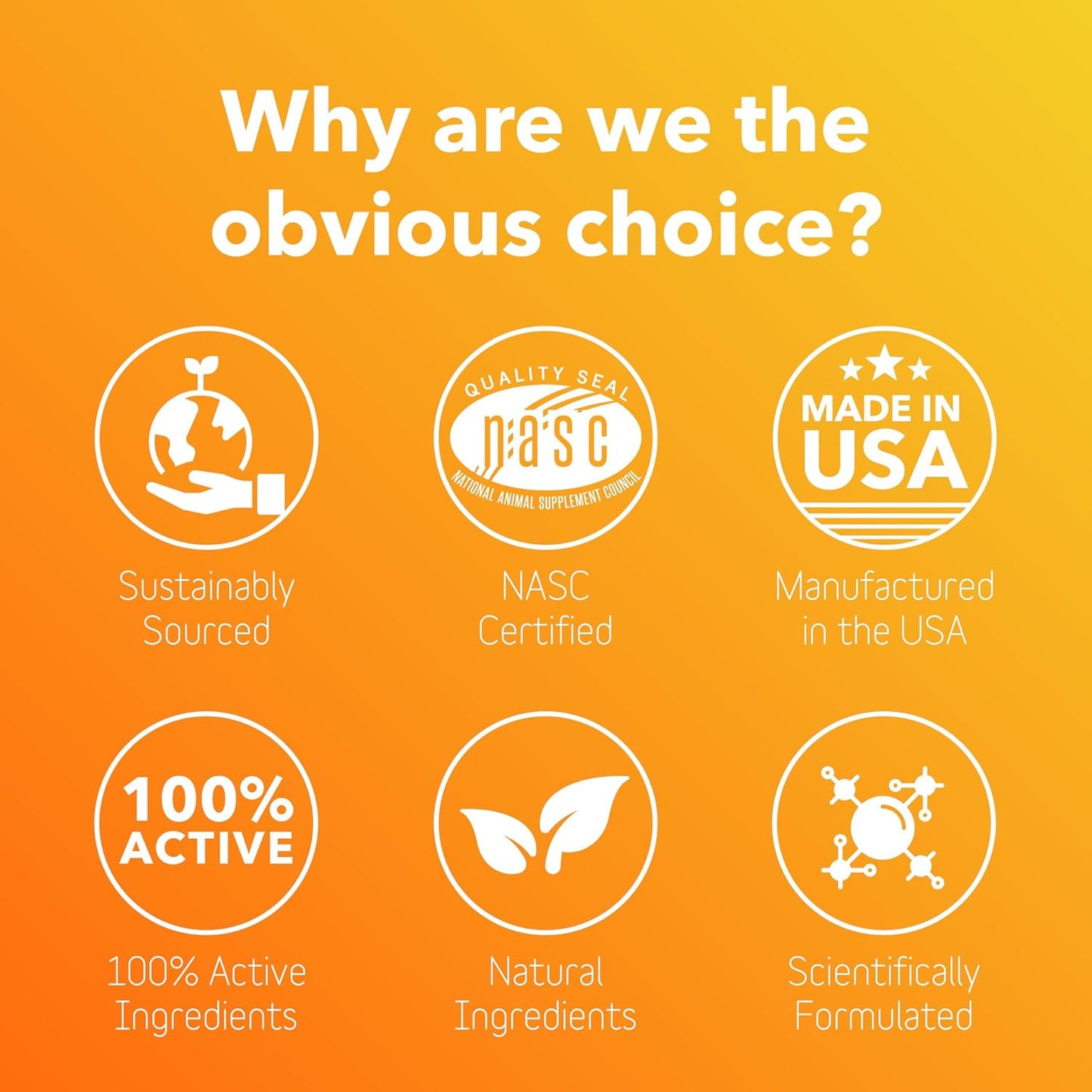 BioRadiant Skin and Coat Supplement for Dogs - Natural Alternative with Carrots, Coconut, Omega 3's, Biotin, and Zinc