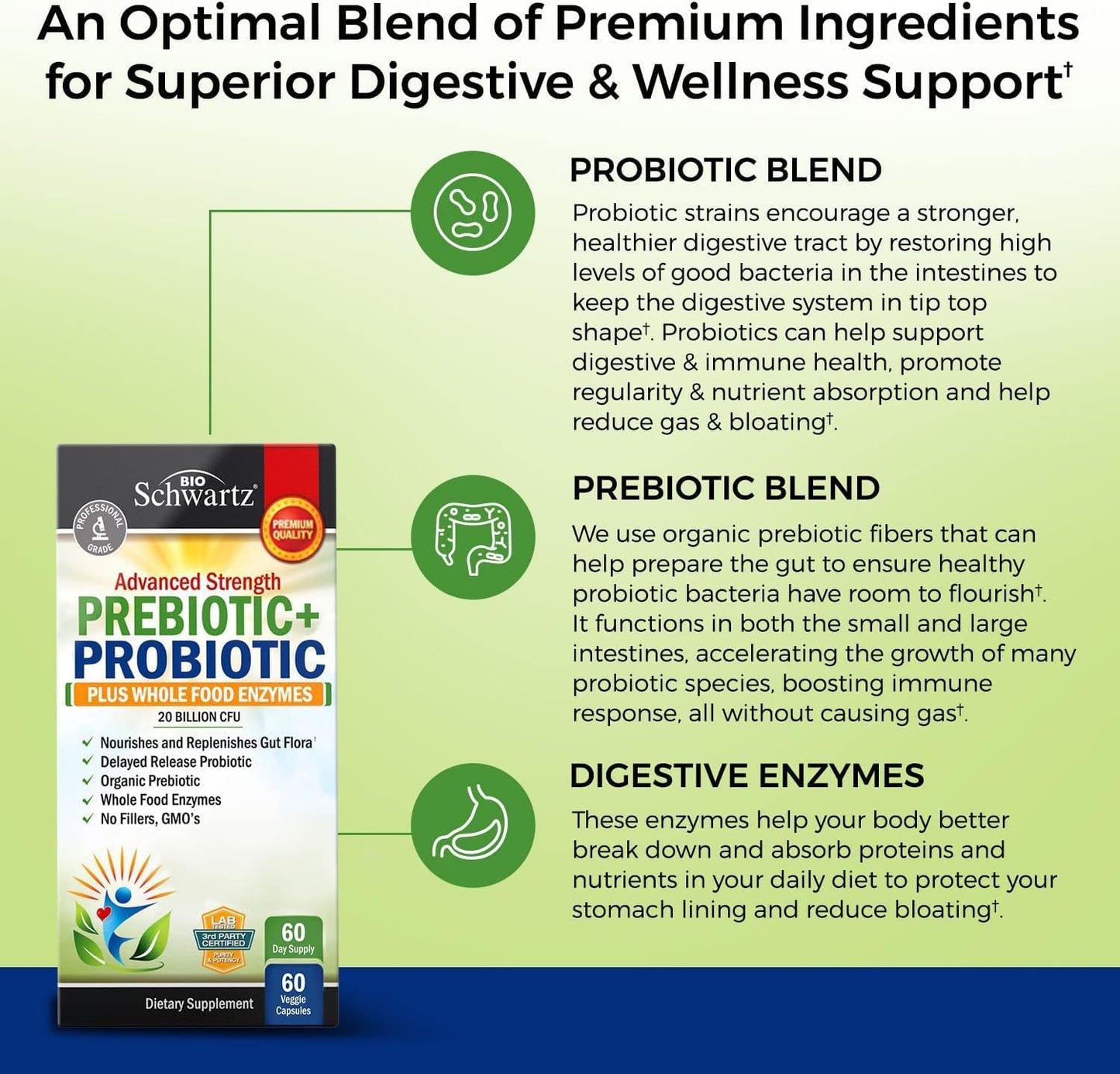 BioSchwartz Advanced Strength Pre and Probiotics Supplement with Digestive Enzymes and Vitamin B Complex + C (4 Month Supply)