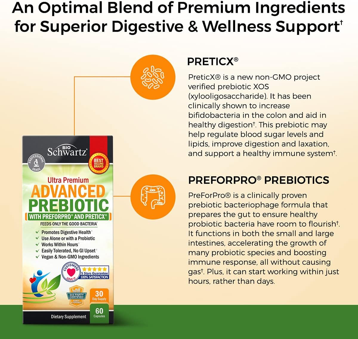 BioSchwartz Probiotic and Prebiotic Bundle - 65 Billion CFU Daily Probiotic & Gut Health Supplement for 1 Month