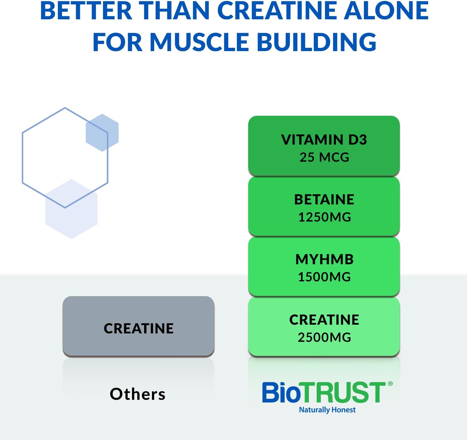 BioTrust Ageless Muscle Builder - Natural Creatine HMB Powder with Vitamin D3 & Betaine for Muscle Mass & Strength - Fruit Punch, 30 Servings