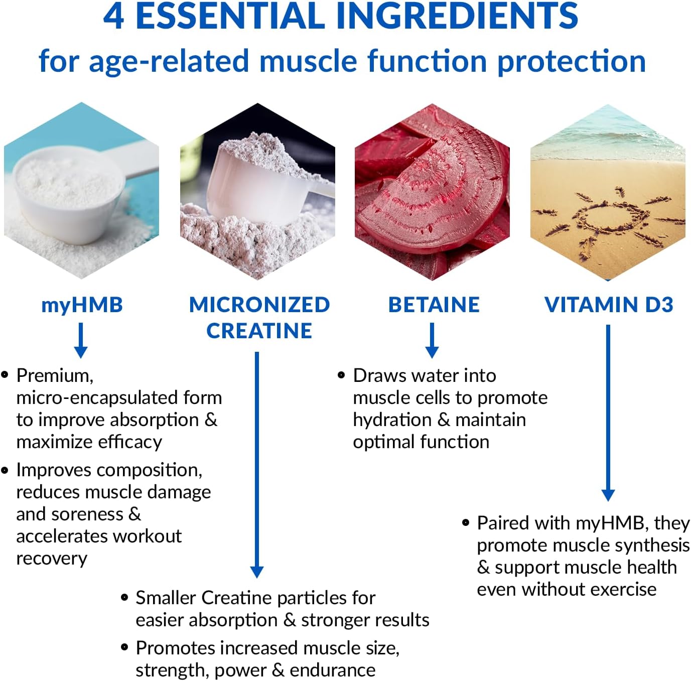 BioTrust Ageless Muscle Builder - Natural Creatine HMB Powder with Vitamin D3 & Betaine for Muscle Mass & Strength - Fruit Punch, 30 Servings