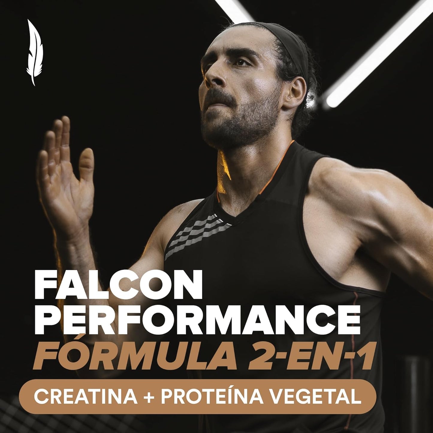 BIRDMAN Falcon Performance Premium Sport Protein Powder with Creatine - Chocolate Flavor, 31g Protein and 5g Creatine per Serving, 1.9Kg Size