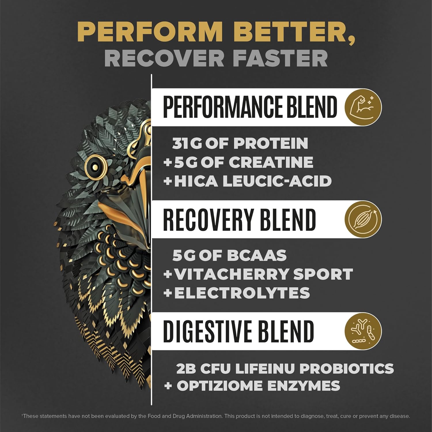 BIRDMAN Falcon Performance Vegan Protein Powder - Plant Based Vanilla Protein with 31g Protein, 5g Creatine, 5g BCAA, Probiotics, Electrolytes, Pre Workout - 19 Servings