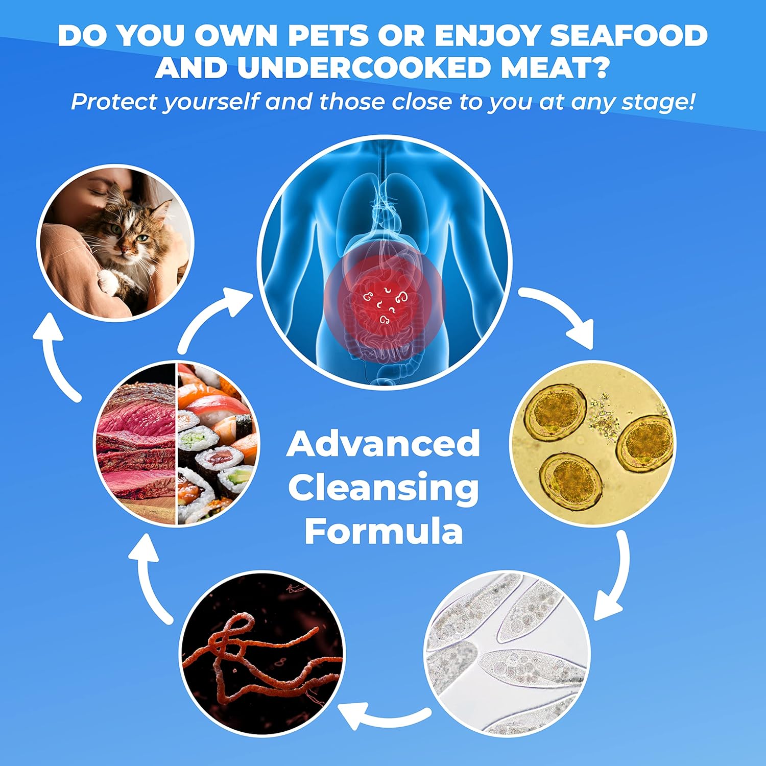 Bloating Relief Supplement with Black Walnut, Wormwood, Garlic - 60 Capsules by PUREHEALTH RESEARCH