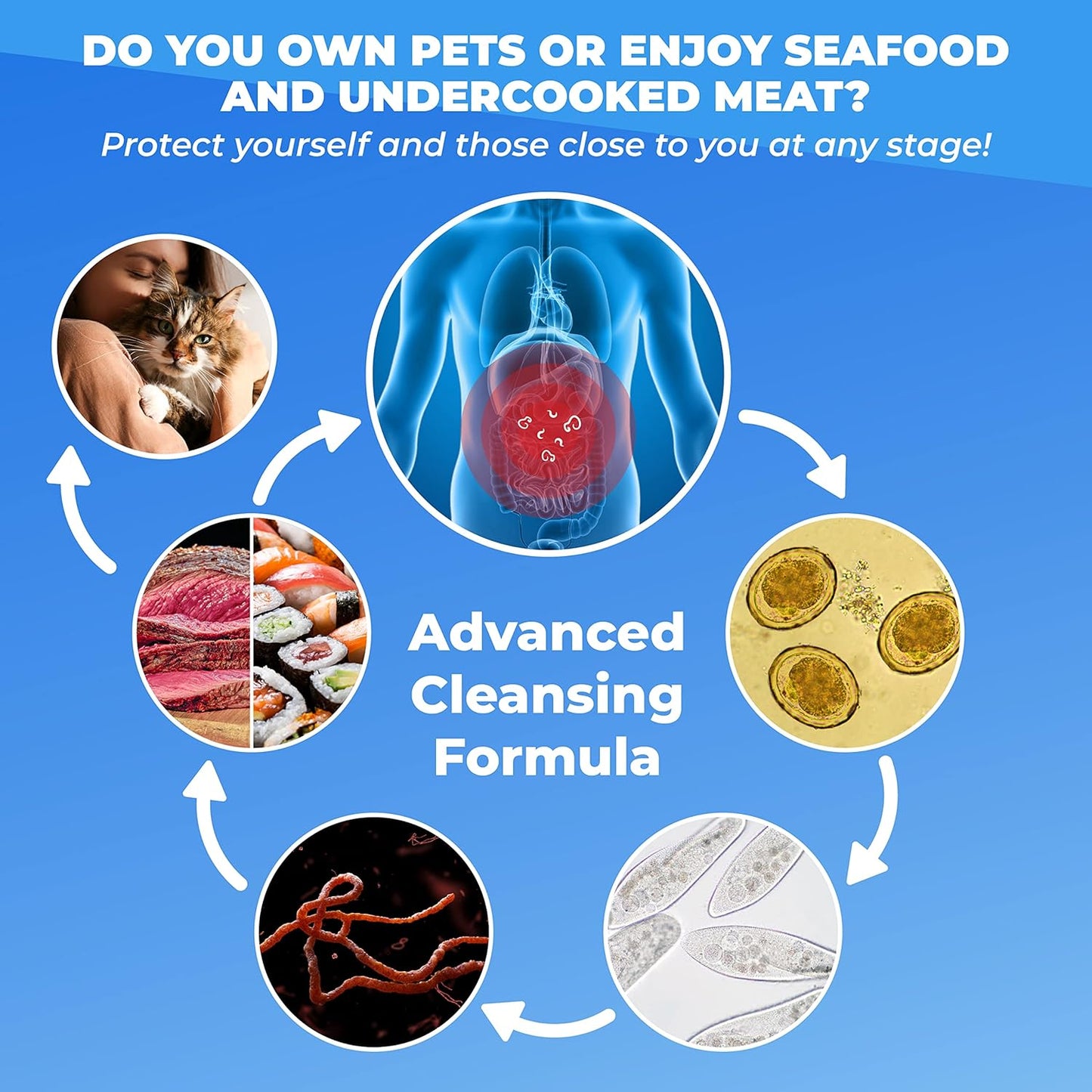 Bloating Relief Supplement with Black Walnut, Wormwood, Garlic - 60 Capsules by PUREHEALTH RESEARCH