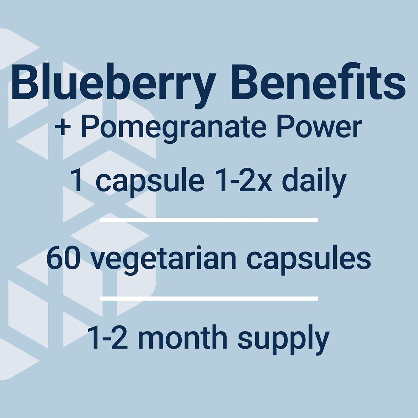 Blueberry Extract and Pomegranate Capsules for Arterial Health Support and Antioxidant Defense - 60 Vegetarian Capsules