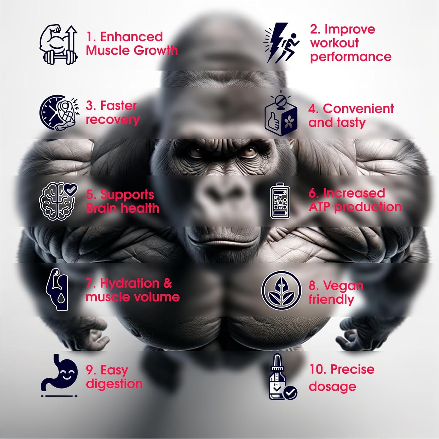 Blueberry Flavored Creatine Monohydrate Gummies - 5g Chewable Cubes (120 Pack)