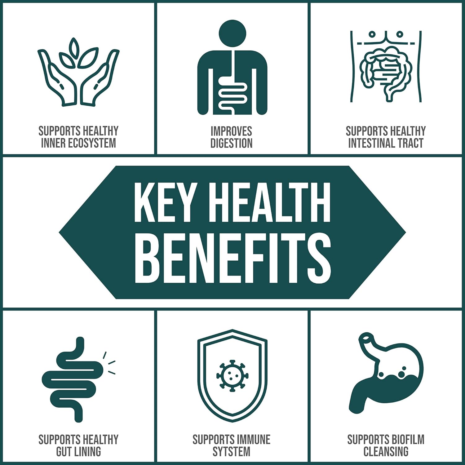 Body Ecology EcoOxyZyme Capsules - Multi-Enzyme Digestive Supplement for Immune System and Gut Health - Biofilm Disruptor - 60 count.