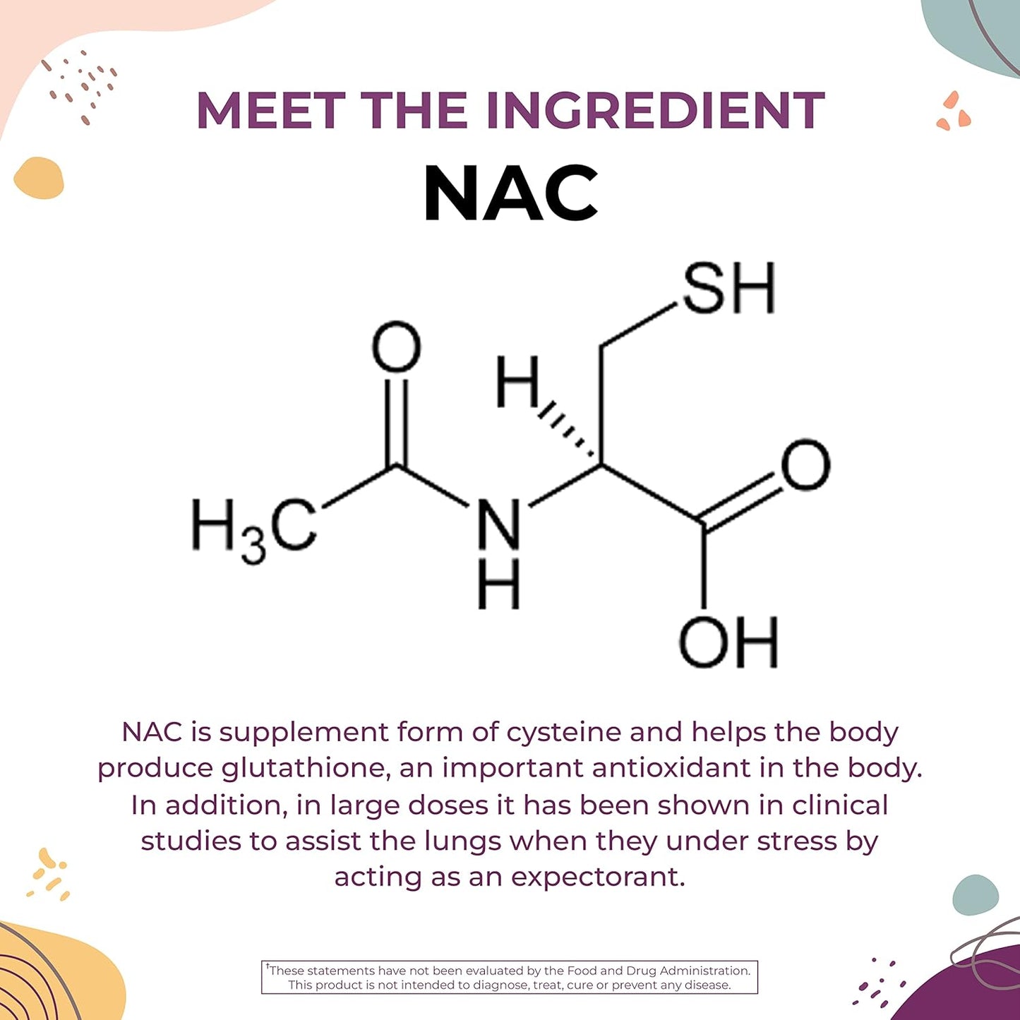 Body Kitchen Mega NAC (N-Acetyl Cysteine) 600 mg with Quercetin - Supports Respiratory Health, Immune Function, Liver & Kidney Detox - Veggie Caps - Pack of 3
