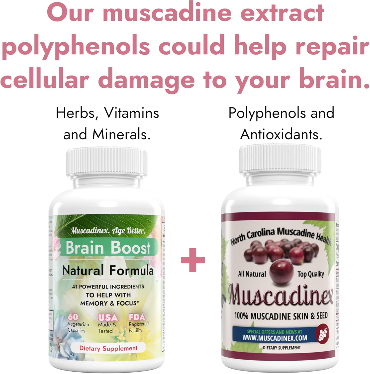 Boost Brain Health with MUSCADINEX Upgrade - Unlock the Benefits of Resveratrol, Ellagic Acid, and Quercetin from American Muscadines! Limited Time Offer!