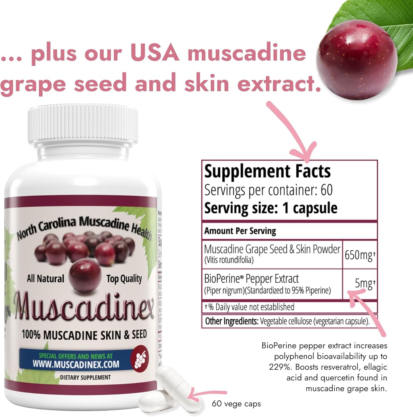 Boost Brain Health with MUSCADINEX Upgrade - Unlock the Benefits of Resveratrol, Ellagic Acid, and Quercetin from American Muscadines! Limited Time Offer!