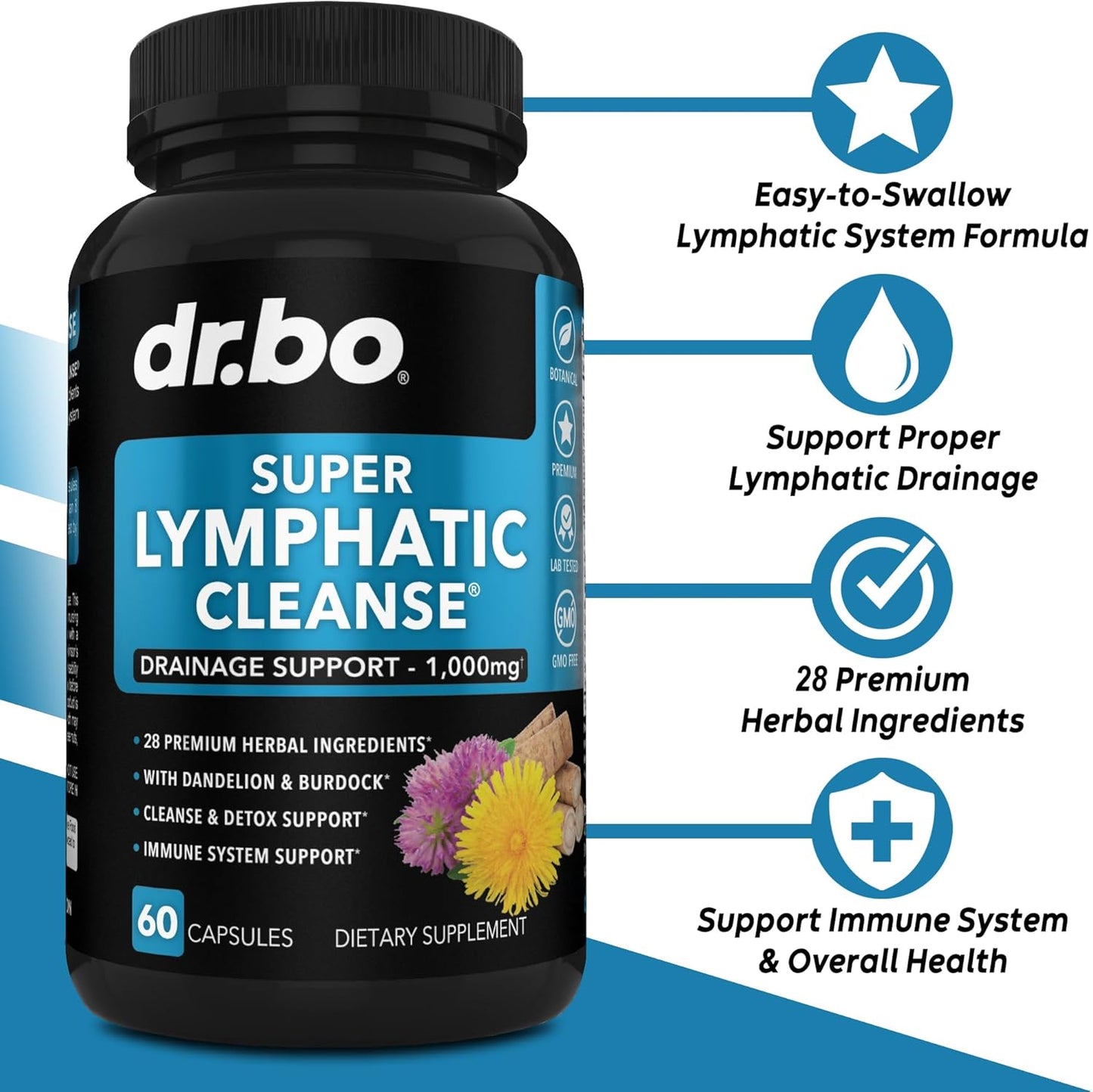 Boost Thyroid Health & Detox Lymphatic System with Herbal Supplements - Echinacea Cleanse for Lymph Node Drainage