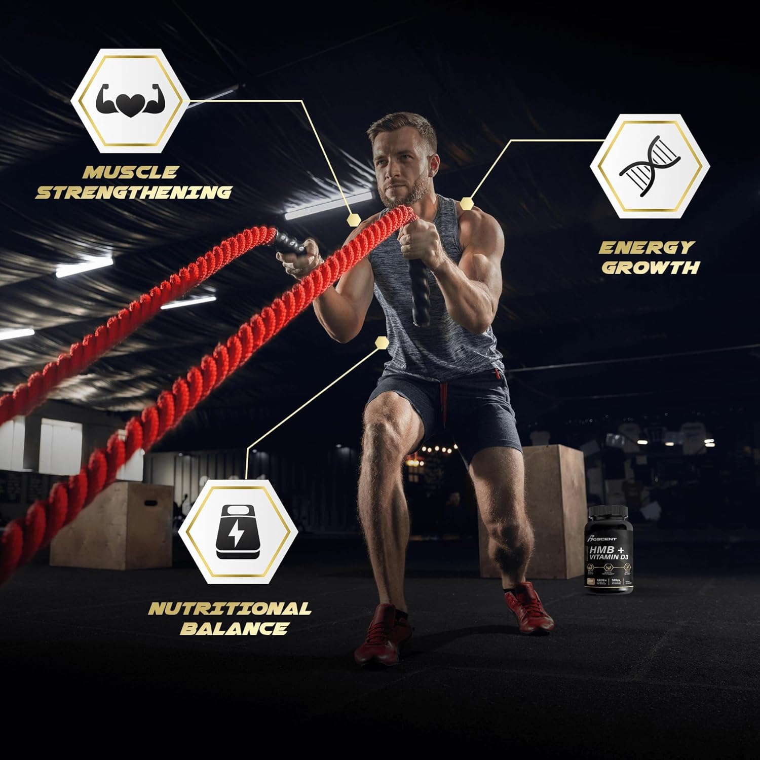 BOSCENT HMB and Lumbrokinase Enzyme Supplement for Muscle and Digestive Health